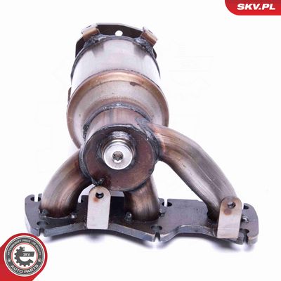 CATALIZATOR ESEN SKV 62SKV010 3