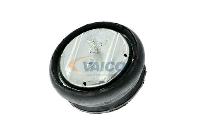 SUPORT MOTOR VAICO V201024 17