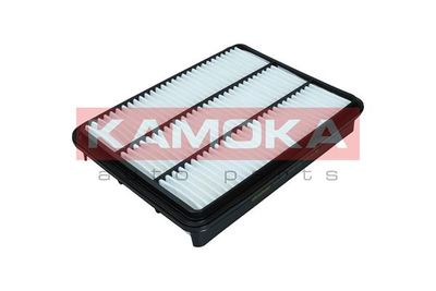 Air Filter F248701