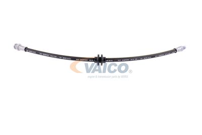 FURTUN FRANA VAICO V220617 26