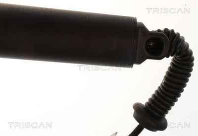 Plynárenská vzpera (pneumatická pružina), zavazadlový priestor TRISCAN 8710 16318