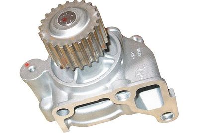 Kavo Parts Vandens siurblys, variklio aušinimas