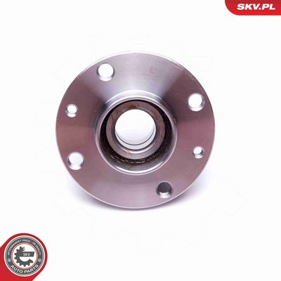 SET RULMENT ROATA ESEN SKV 29SKV419 2