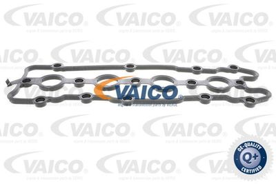 VAICO V10-2561 Прокладка клапанної кришки 