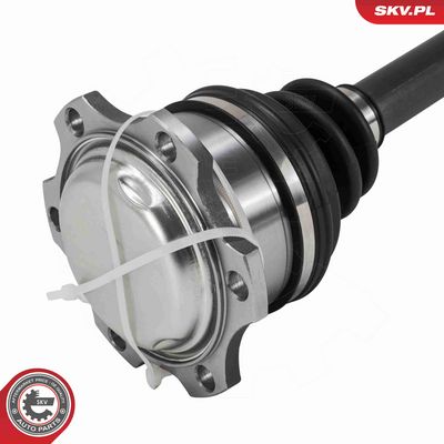 PLANETARA ESEN SKV 40SKV306 3