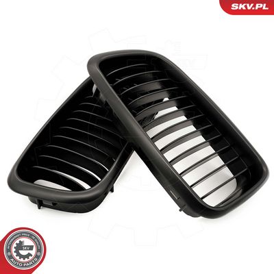 GRILA RADIATOR ESEN SKV 66SKV213 2