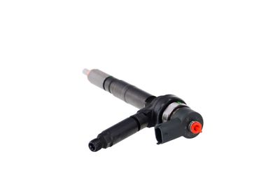 INJECTOR REMANTE 002003001191R 21