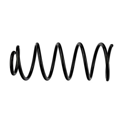 ARC SPIRAL EIBACH R10454 19
