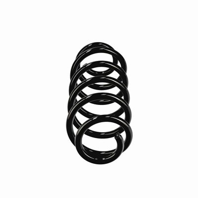 ARC SPIRAL EIBACH R11107 13