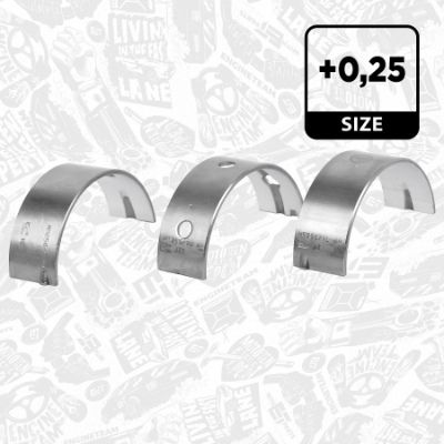 SET RULEMT ARBORE COTIT ET ENGINETEAM LH005725 1