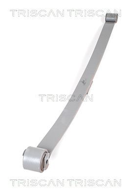 TRISCAN Federnpaket