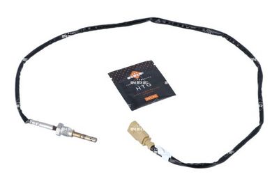 Jutiklis, išmetamųjų dujų temperatūra