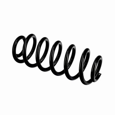 ARC SPIRAL EIBACH R10615 21