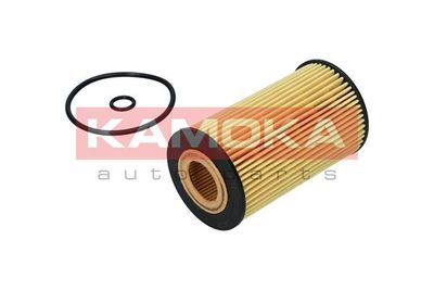 Oil Filter F119701