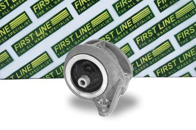 окачване, двигател FIRST LINE FEM3302