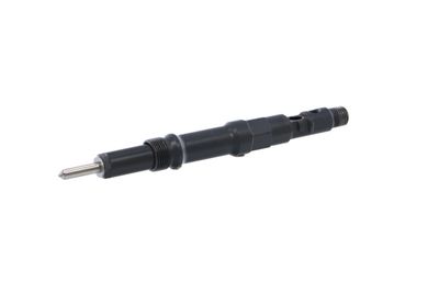 INJECTOR REMANTE 002003000042R 6