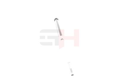 AMORTIZOR GH GH335253 19