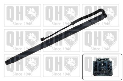 MOTOR ELECTRIC HAION