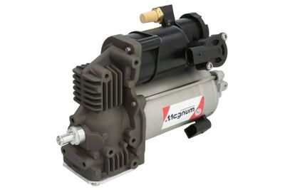 Pneumatische vering compressor