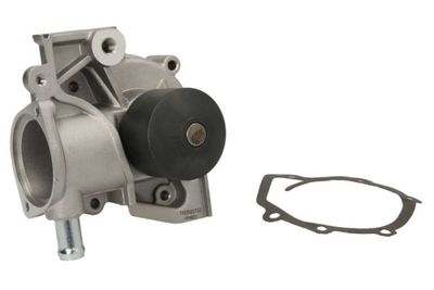 Water Pump, engine cooling D17007TT