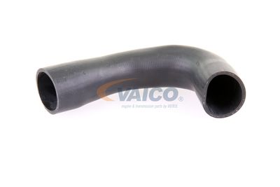 FURTUN EAR SUPRAALIMENTARE VAICO V103836 11