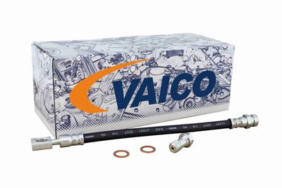 FURTUN FRANA VAICO V107680 1