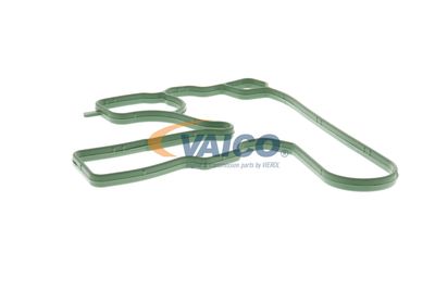 DICHTUNG KURBELGEHäUSEENTLüFTUNG VAICO V103884 20