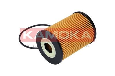 Oil Filter F110301