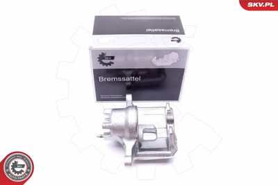 Brake Caliper 45SKV821