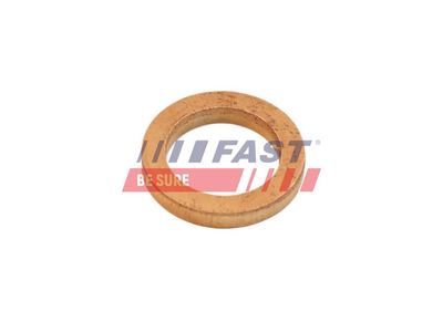 Těsnění, přívod turbíny FAST FT48802
