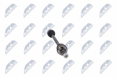 PLANETARA NTY NPWCH094 15