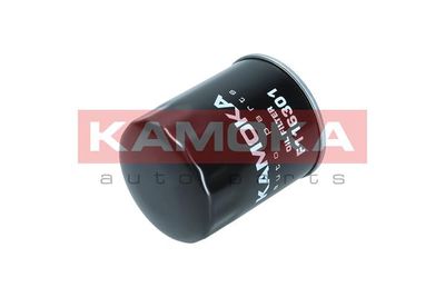 Oil Filter F116301