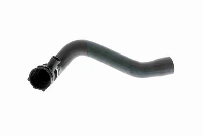 FURTUN RADIATOR VAICO V201924 1