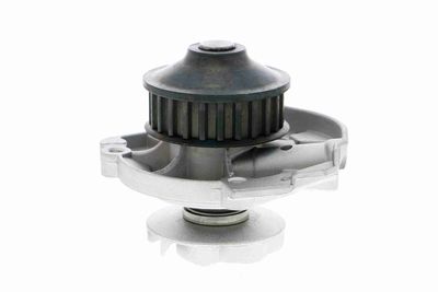 WASSERPUMPE MOTORKüHLUNG VAICO V2450002 3