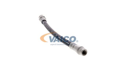 FURTUN FRANA VAICO V220616 35