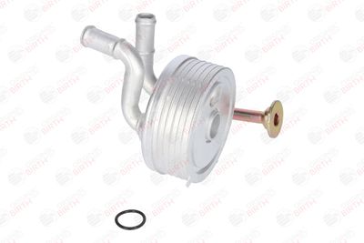 RADIATOR ULEI ULEI MOTOR BIRTH 80138 5