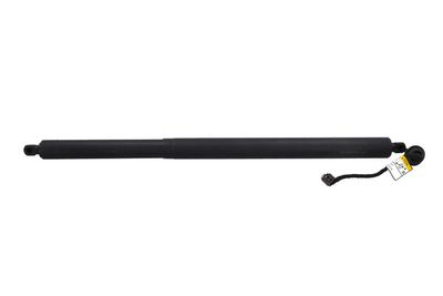 Galinių durų elektros variklis