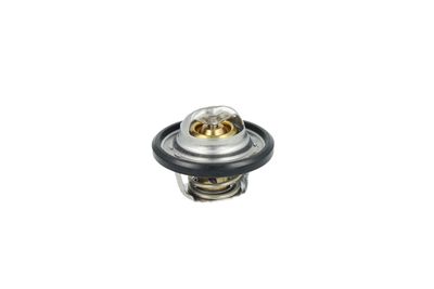 TERMOSTAT LICHID RACIRE NRF 725544 19