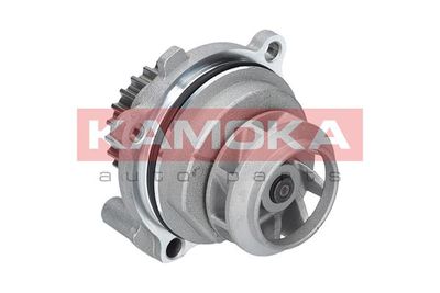 Water Pump, engine cooling T0028