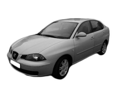 GRILA RADIATOR PHIRA IB02107 2