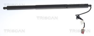 газов амортисьор, багажно/товарно пространство TRISCAN 8710 81209