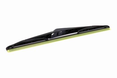 WISCHBLATT VAICO V220768 2