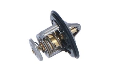 TERMOSTAT LICHID RACIRE NRF 725143 35