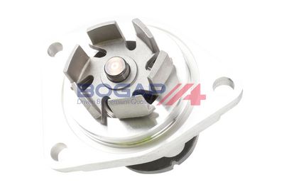 POMPă DE APă RăCIRE MOTOR BOGAP L4234101 3