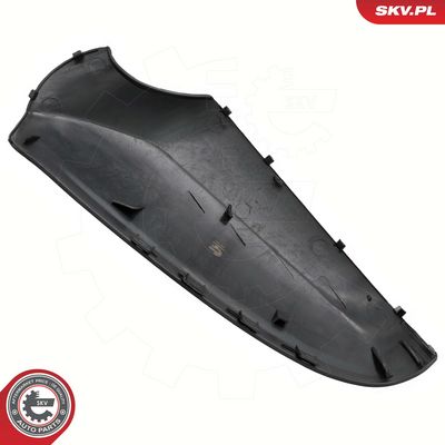 Dangtelis, išorinis veidrodėlis