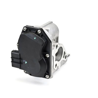 SUPAPA EGR DELPHI EG1062412B1 21