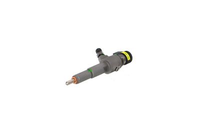 INJECTOR REMANTE 002003000083R 61