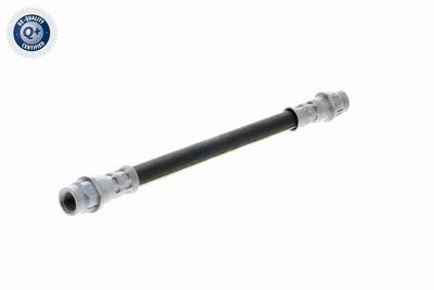 FURTUN FRANA VAICO V220625 8