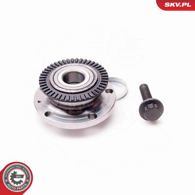 SET RULMENT ROATA ESEN SKV 29SKV069 1