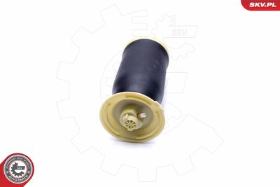 Air Spring, suspension 58SKV054